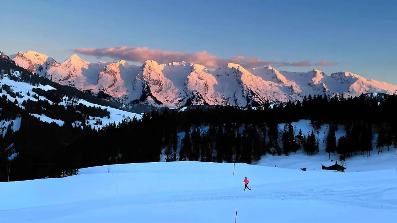 Grand-Bo: joli appartement sur les pistes avec vue Le Grand-Bornand